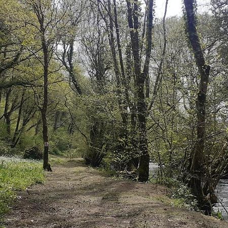 Hotel Retraite rustique en bordure de forêt à la campagne à Belle-Isle-en-Terre Extérieur photo