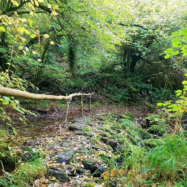 Hotel Retraite rustique en bordure de forêt à la campagne à Belle-Isle-en-Terre Extérieur photo