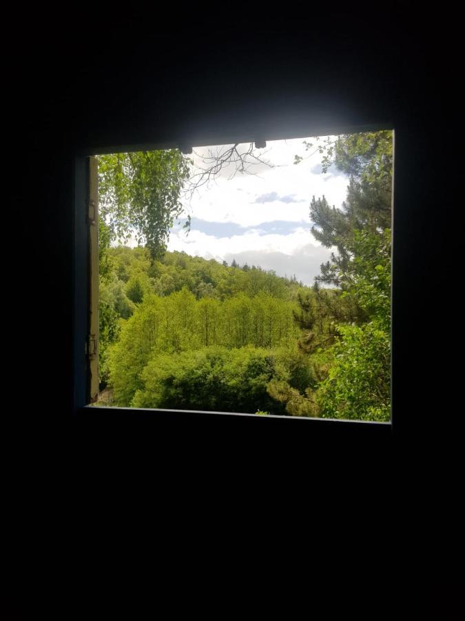 Hotel Retraite rustique en bordure de forêt à la campagne à Belle-Isle-en-Terre Extérieur photo