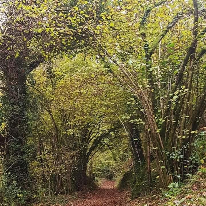 Hotel Retraite rustique en bordure de forêt à la campagne à Belle-Isle-en-Terre Extérieur photo