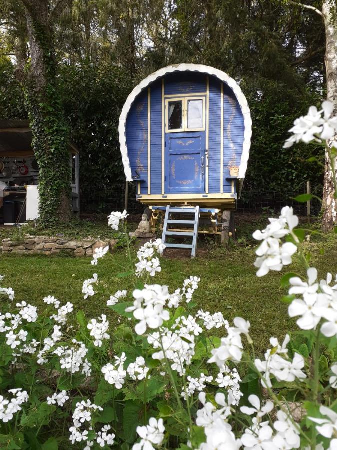 Hotel Retraite rustique en bordure de forêt à la campagne à Belle-Isle-en-Terre Extérieur photo