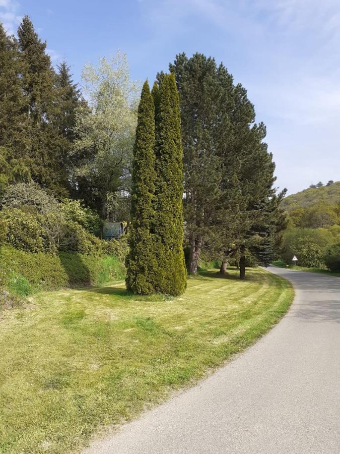 Hotel Retraite rustique en bordure de forêt à la campagne à Belle-Isle-en-Terre Extérieur photo